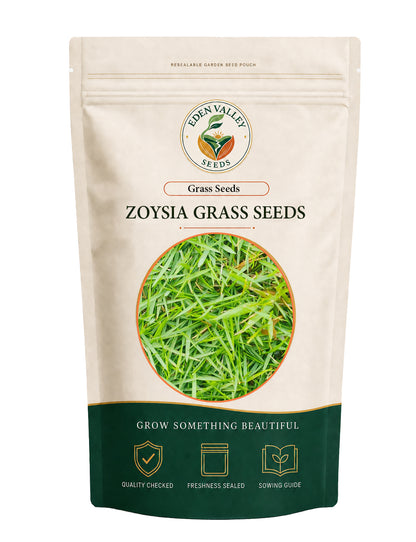 Zoysia Grass Seeds with fine green blades for home lawns and garden spaces